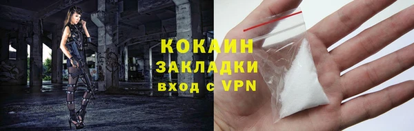 винт Абаза