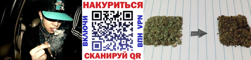 Канабис индика  Вичуга 